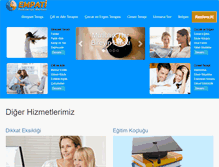 Tablet Screenshot of empatidanisma.com